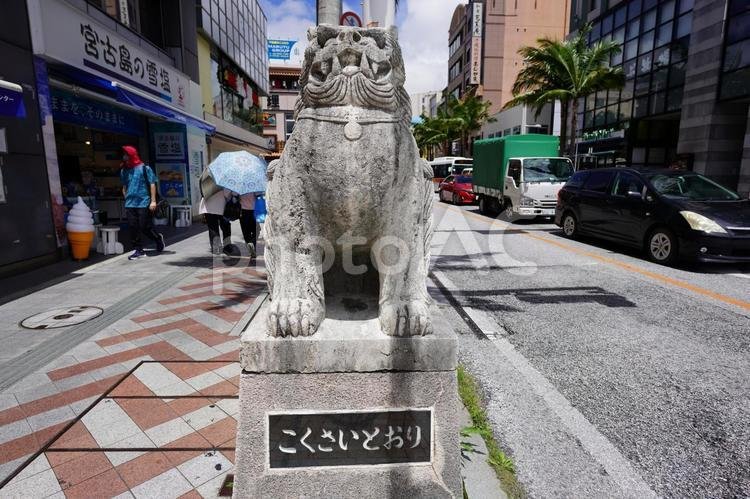 🗿 사이온 큰 사자상(사이온 우후 시사) 이미지 8